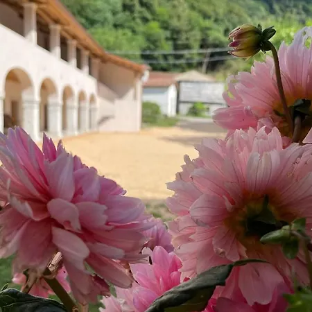 Il Bosco