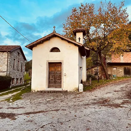 Il Bosco